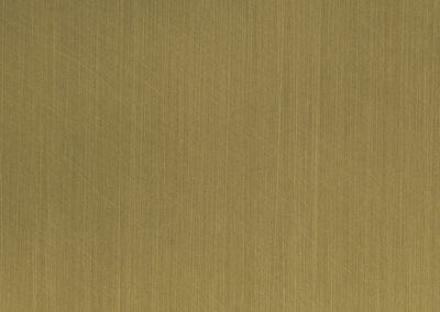 #310 Antique Brushed Brass
