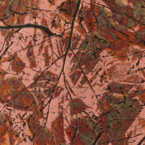 #238 Autumn Leaves - 2400 x 600mm