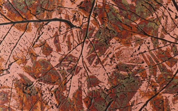 #238 Autumn Leaves - 2400 x 600mm